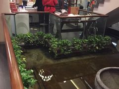 -旺顺阁鱼头泡饼(小红门店)