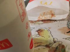 -麦当劳(凌云天地长桥店)