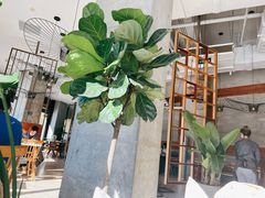-The Rug Cafe(王府中环店)