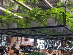 -猫爪爪原切自助烤肉(观音桥阳光世纪店)