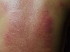 -正清和·推拿养生(和平广场店)