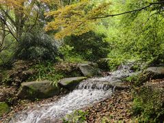 -中国茶叶博物馆(双峰馆区)
