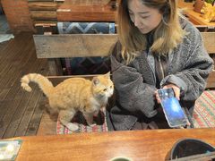 -马灯部落·西湖边的创意山景餐厅(虎跑动物园店)