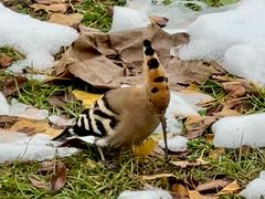 -江南大学(蠡湖校区)