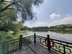 -北坞公园