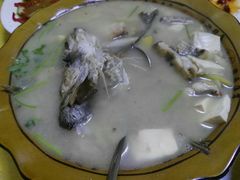 -煲来饱去冷水鱼