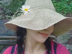 -青峰峡国家森林公园