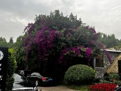 -茅庐·川粤精品私房菜(金沙遗址店)