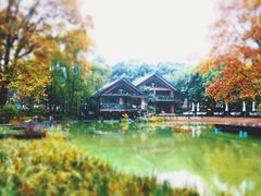 -静安公园(静安寺街道)