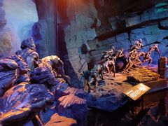 -重庆中国三峡博物馆(重庆博物馆)