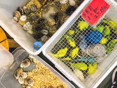 -溪岸路花鸟市场