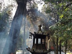 -南阳卧龙岗武侯祠