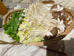 -同仁四季椰子鸡(福田东园总店)