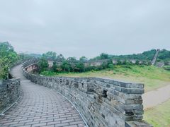 -黄贤森林公园