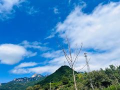 -王顺山国家森林公园