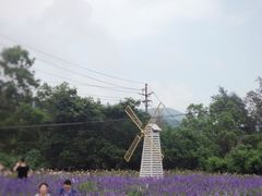 -玫瑰海岸文化旅游度假区