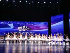 -中央芭蕾舞团·中芭艺蕾(酒仙桥明星校区)