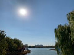 -大兴滨河森林公园