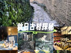 -杨家堂村