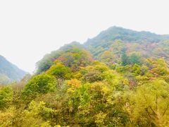 -沣峪森林公园龙潭戏水景区