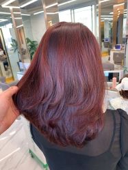 -潘多拉Hairsalon