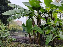 -晓港公园