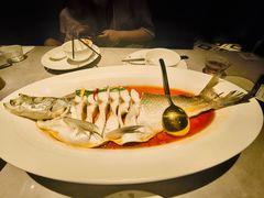 -醉庐·新上海菜(南京西路店)