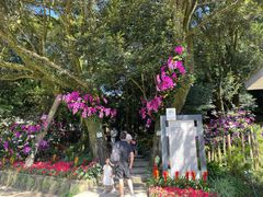 -广州市石门国家森林公园