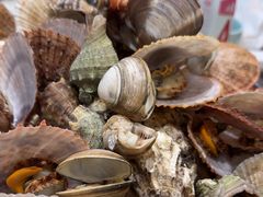 -和源祥·日照菜扛把子(万平口一店)