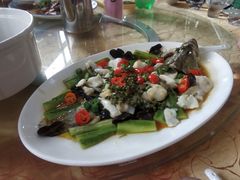 花椒蒸桂花鱼-水乡人家私房菜(逢简店)