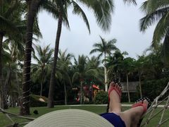 亚龙湾红树林度假酒店-三亚亚龙湾红树林度假酒店