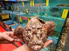 -有腥气私房菜·寻味顺德