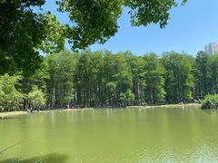 -汉水公园