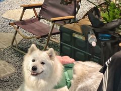 -J Create城市露营咖啡·简餐·宠物(上海动物园店)