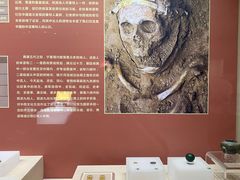 -宁夏博物馆