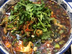 -院8里·少城记忆老川菜(宽窄巷子店)