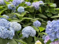 -常州古运河南大街文化旅游区-人民公园