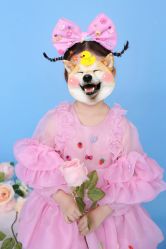 -童年时光专业儿童摄影(龙首店)