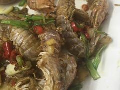 -肥仔濑尿虾(全球通总店)