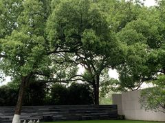 -九里云松·天香餐厅