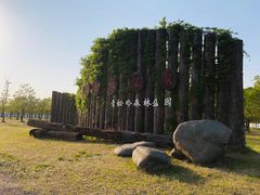 -东海森林温泉