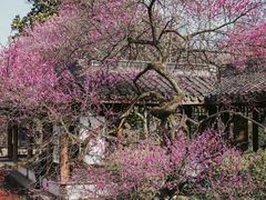 -杭州植物园