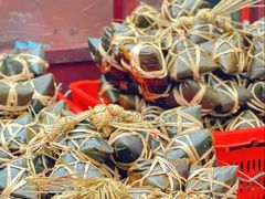 -鼎香皇高佬苏裹蒸粽