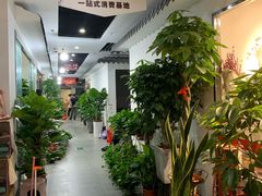 -苏州艺都古玩花鸟市场