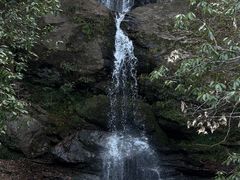 -燕子河大峡谷天坑仙境