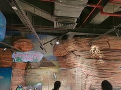 -正佳雨林生态植物园