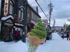 -小樽运河广场(運河プラザ)