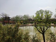 -大槐树寻根祭祖园