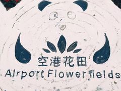 -空港花田景区