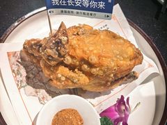 -唐猫庭院·千年陕菜(赛格国际购物中心店)
